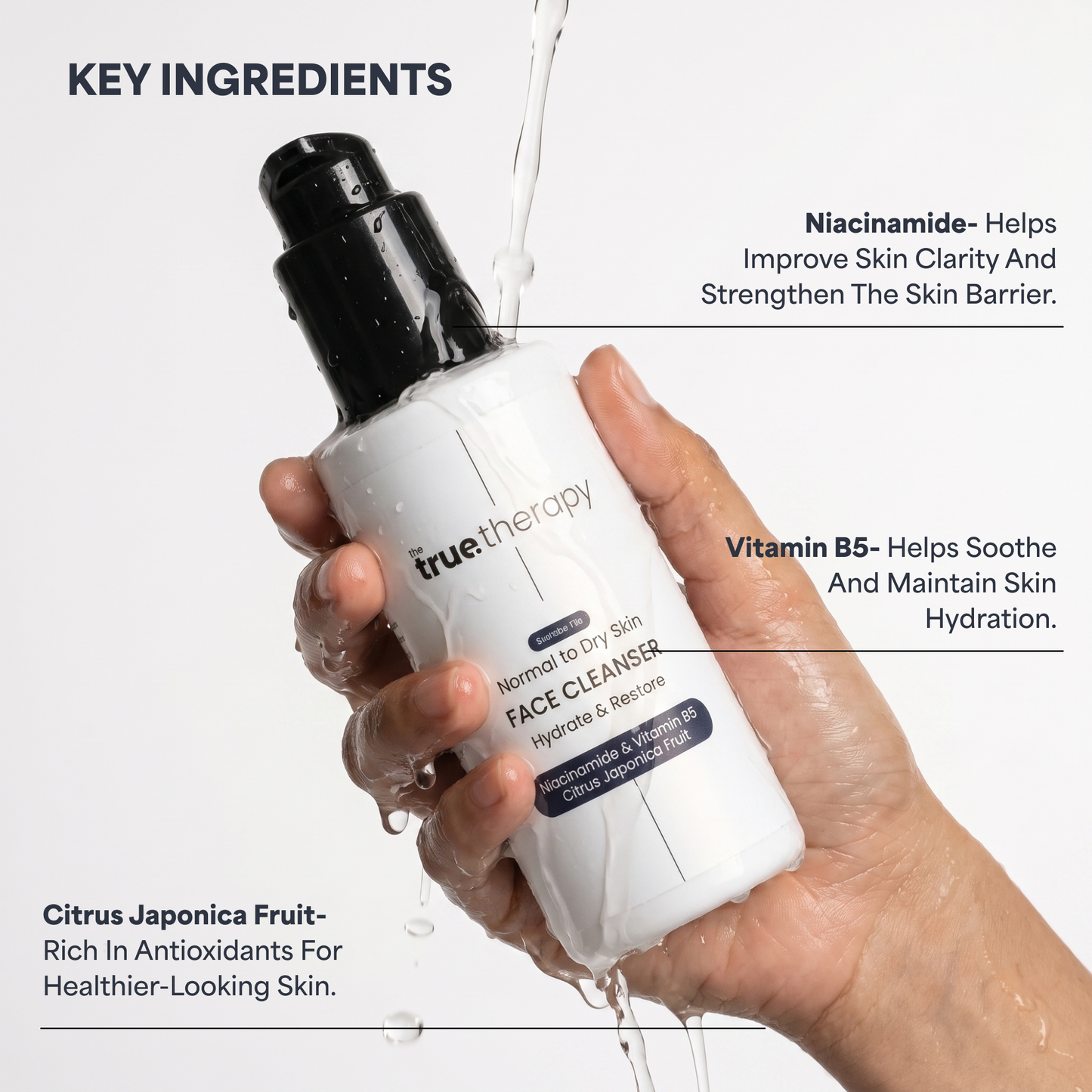 Niacinamide + B5 Face Cleanser for Normal to Dry Skin